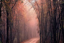 worldcup-股市必读：福龙马（603686）登12月30日交易所龙虎榜