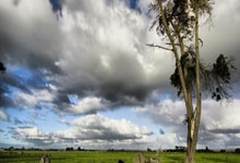 FIFA世界杯-德(dé)甲联赛：RB莱比锡状态火热，门兴近期(qī)表現(xiàn)回暖