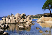 世界杯预测-劲踏专业款水晶沙地胶评测：4.5mm 厚度 + 4年质保，羽毛球场地的新选择